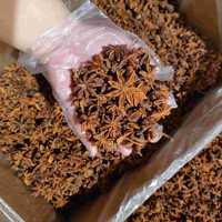 Venta al por mayor de anís estrellado, Chakraphool seco, semillas tamizadas de anís estrellado orgánico, anís estrellado de China, especias individuales de alta calidad