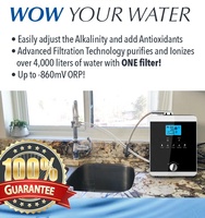 Filter Pitcher Ionizer Air Listrik & Manual untuk Membuat Air Alkali yang Bermanfaat untuk Penggunaan Rumah Tangga & Luar Ruangan