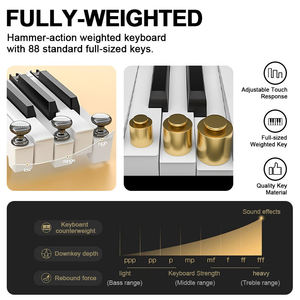 Tastiera Musicale a 88 Tasti Personalizzata di Fabbrica al Miglior Prezzo, Pianoforte Elettronico a 88 Tasti, Organo Elettronico, Tastiera Pianoforte Digitale - Product Image 6