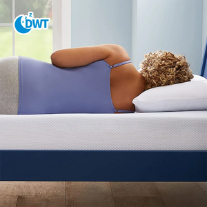 Tuyệt Vời Ngủ Nệm Dành Cho Người Lớn Sinh Viên Đồ Nội Thất Matelas Giường Bọt Nệm - Product Image 1