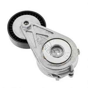MANER 06H903133F - Conjunto de Polea Tensora de Correa para Audi A4 A5 Q5 VW Amarok - Product Image 1