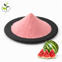 Poudre de pastèque de qualité alimentaire Springjia, extraction liquide-solide du Shaanxi, emballée sous vide