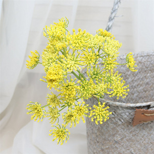 Offre Spéciale de dentelle de fleur de carotte blanche de haute qualité décor artificiel pour mariage maison et fête pour l'obtention du diplôme et noël - Product Image 6