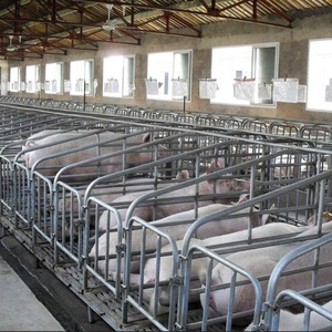 Diseño moderno cerdo jaulas de gestación prohibido equipos agrícolas - Product Image 5