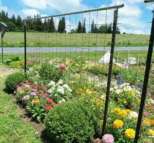 Poteaux <span class=keywords><strong>en</strong></span> T d'occasion de 7 pieds, peints <span class=keywords><strong>en</strong></span> <span class=keywords><strong>vert</strong></span>, directement de l'usine, assemblage facile, clôture de cour pour chevaux, faible entretien, construction <span class=keywords><strong>en</strong></span> treillis métallique <span class=keywords><strong>en</strong></span> acier - Product Image 1