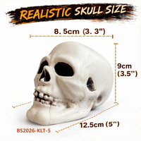 Nouvelles décorations réutilisables en PVC en forme de tête de squelette d'horreur pour Halloween 2026, idéales pour les fêtes, festivals, remises de diplômes et Thanksgiving