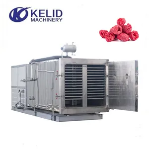 Alta Eficiência Sublimação Pet Feed Freeze Vacuum Drying Machine