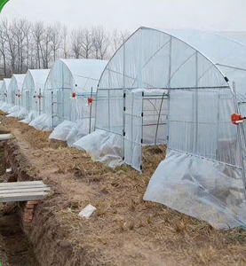 Serra a tunnel monospalla in film <span class=keywords><strong>PO</strong></span>/PE, ideale per la coltivazione di vari tipi di ortaggi, frutta e fiori - Product Image 2