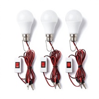 Lampe LED 12V DC blanc pur avec cordon à clip de 2 m, température de couleur 3000K-6500K, durée de vie de 8000 heures, IRC 80, pour usage en jardin