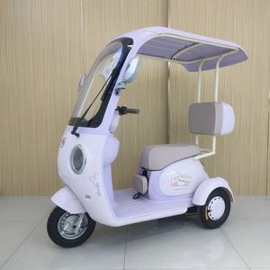 A Low-cost <b>Electric</b> Tricycle with Carbon Steel Frame 3-speed Gear LED Display Electronic Features for Urban Transportation - Product Image 1