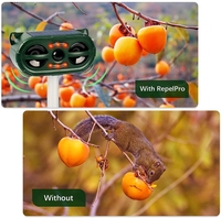 Produit le plus vendu : Répulsif solaire ultrasonique pour animaux sauvages (renards, souris, oiseaux, corbeaux, chiens)