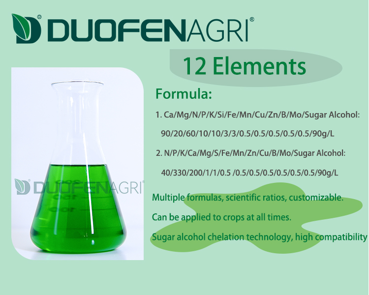 Wholesale Liquid Chelated Iron Micronutrient Fertilizer OEM image 2