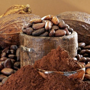 Prezzo Basso per Burro di Cacao Naturale/Alcalinizzato 10-12%/4%-9% Ingredienti di Cacao - Product Image 4