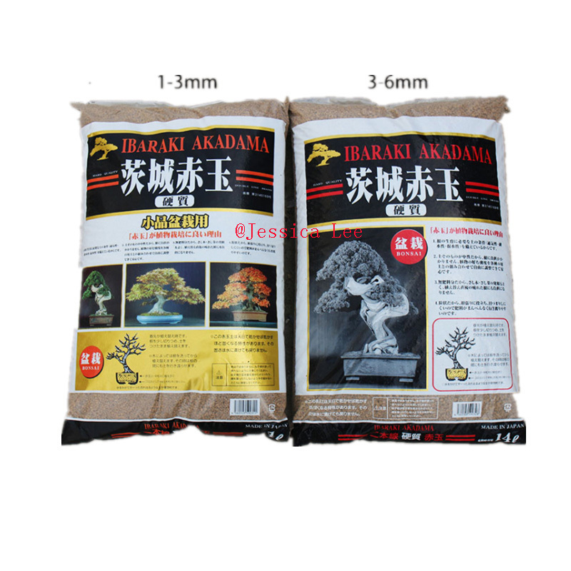 Ibaraki Akadama Soil for Cactus Orchid