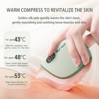 Masseur électrique portable en jade Gua Sha pour le visage, soulagement de la douleur, thérapie thermique infrarouge rechargeable, outil de raclage