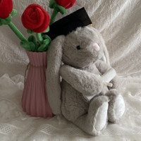 Peluche Lapin de Remise de Diplôme Gris à Longues Oreilles avec Casquette, Diplôme et Logo Personnalisé sur les Pattes
