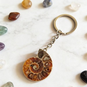 Porte-clés Fossile d'Ammonite de Madagascar, Demi-tranche Polie, Spécimen de Coquille de Nautilus, Cristal, Pendentif de Sac pour Cadeau Souvenir - Product Image 4