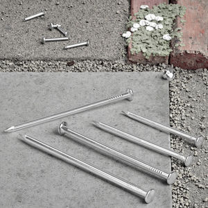 201/304 acier inoxydable clou commun Long fer étranger en acier au carbone tête Style pour <span class=keywords><strong>menuiserie</strong></span> bois suspendu sol clou élément - Product Image 5