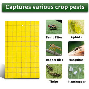 Fabrika sinek tuzak haşere kontrol yapıştırıcı <span class=keywords><strong>Fly</strong></span> böcek tutkal tuzağı tek kullanımlık sarı yapışkan kart tuzak - Product Image 3