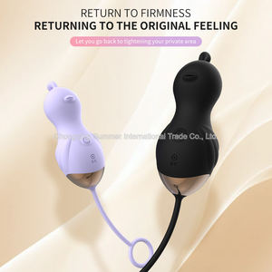 Hochwertige Freis prec heinrich tung Sexspielzeug Klitoris Vibrator Fernbedienung USB wiederauf ladbar wasserdicht für Multi-Pattern für Frauen - Product Image 5