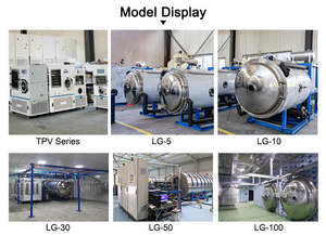 Liofilizador de vacío para frutas, verduras, carne, liofilizador, máquina de liofilización de frutas, liofilizador de alimentos industrial - Product Image 4