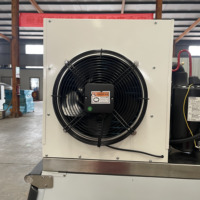 Haute qualité 3T/24Hr automatique industriel flocon Machine à glace 20kg compresseur d'eau pour poisson 300kg plantes 380V refroidissement par Air