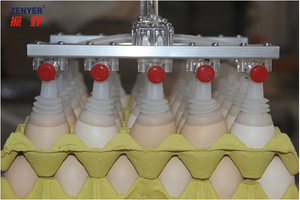 Sistema de Elevación de Huevos al Vacío de 12 Cabezas - Product Image 4