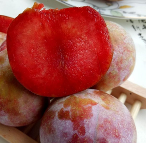 Prugne Intere Essiccate di Alta Qualità per Snack - Product Image 6