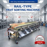 Volledig automatische multifunctionele fruit- en groente sorteermachine voor het sorteren op maat van lychees, met 220V/380V