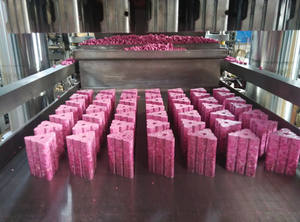 Máquina Compacta de Prensagem Hidráulica de Iscas, Moldador de Bloco de Cera de Baixo Ruído para Fabricação de Iscas para Controle de Roedores - Product Image 6