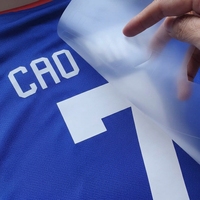 Film de transfert thermique DTF personnalisé pour vêtements, film DTF haute élasticité lavable pour l'impression de stickers sur t-shirts et sacs