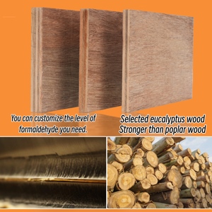<span class=keywords><strong>12mm</strong></span> <span class=keywords><strong>18mm</strong></span> 4x8 kayu lapis eukaliptus kayu lapis komersial - Product Image 4