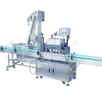 Ligne de remplissage de poudre de bouteilles en plastique LWT avec machine de remplissage et d'étiquetage automatique à double tête de précision