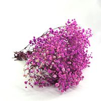 120g de fleurs de gypsophile préservées, fleurs naturelles séchées pour la décoration de la maison et de mariage, fleurs immortelles véritables, support OEM