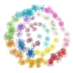 Fleurs séchées pressées naturelles de Queen <span class=keywords><strong>Anne</strong></span>'s Lace pour la résine, la bijouterie DIY, les loisirs créatifs et les fournitures pour le nail art - Product Image 1