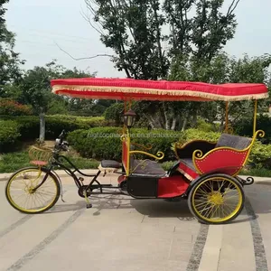 Venda quente três roda bicicleta elétrica/triciclo elétrico com assento do passageiro