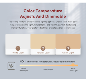 Thông Minh Im Lặng Điều Khiển Từ Xa Ứng Dụng Điện Hiện Đại Cổ Điển 72 Inch Kích Thước Lớn Quạt Trần Cho Phòng Khách Hộ Gia Đình Khách Sạn - Product Image 4