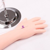Modèle d'entraînement à la ponction artérielle du bras et à l'injection intramusculaire, système vasculaire artériel, enseignement des sciences médicales CE/ISO