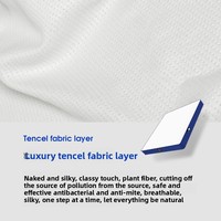 Matelas à ressorts indépendants en latex, mousse à mémoire de forme épaisse de qualité hôtelière, confortable, détachable, pour la maison, protection de la colonne vertébrale