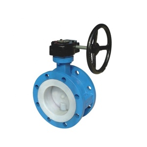 Full <b>PTFE</b> Lined Ductile Iron DN250 Worm Gear Concentric - Product Image 2