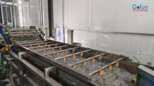 Rodamiento de Bomba de Motor para Máquina de Limpieza Industrial de Carne <span class=keywords><strong>Gofun</strong></span> GFM-QX, para Lavado Multifuncional de Frutas y Verduras - Product Image 3