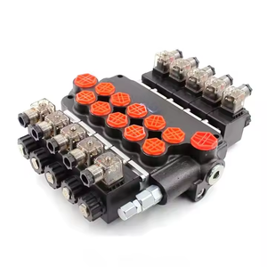 Vannes monobloc hydrauliques manuelles à solénoïde P80 : Devenez distributeur mondial de la vanne hydraulique P80 - Product Image 2
