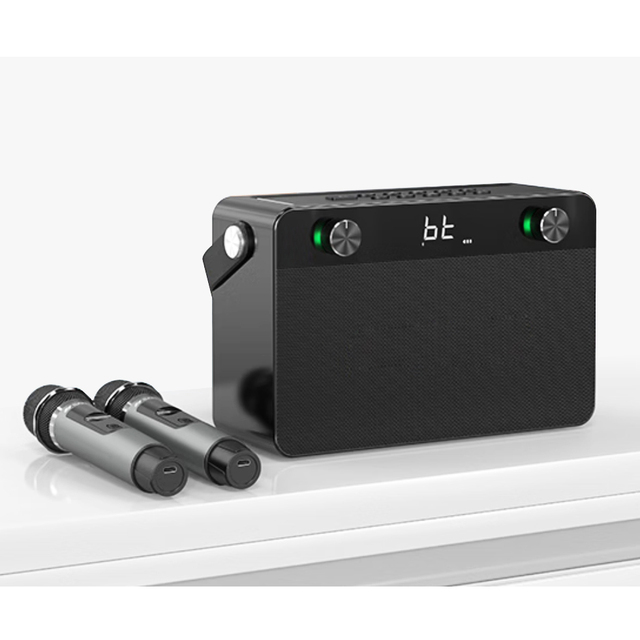 2024 Professional High Quality Audio Karaoke Speakers Boombox Big Bluetooths Party Speakers with Dual Wireless Mic