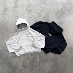 Sweat-shirts à capuche unisexe vierges, coupe ample et oversize, design décontracté, 100% coton, grammage lourd - Product Image 1