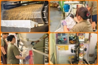 Aliment Sec Sain et Nutritif pour Animaux : Formule Poulet et Morue au Légumes, Riche en Protéines, Lyophilisé, avec Probiotiques pour la Santé Digestive