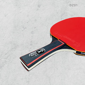 Prix d'usine Logo personnalisé Taille standard Bon prix Raquette de ping-pong Batte de tennis de table avec étui - Product Image 6