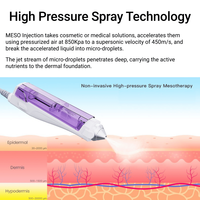 Pistola de Mesoterapia TDA de Alta Presión, Máquina de Peeling a Chorro de Alta Velocidad de 450 m/s para Infusión de Suero, Rejuvenecimiento Facial y Refrescante de la Piel