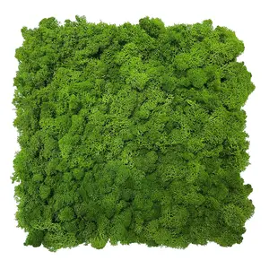 Linwoo UV Certified Artificial Green Moss Grass Wall Stabilized Simulated Plant Moss Panel For Outdoor Space