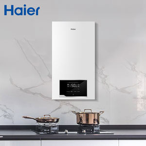 Chaudière murale à gaz à <span class=keywords><strong>condensation</strong></span> Haier en acier inoxydable, haute qualité, vente chaude, pour le chauffage de l'eau - Product Image 2