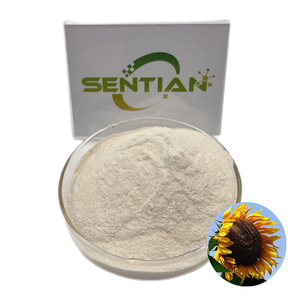 Polvo de proteína de semilla de girasol orgánico Extracto de hierbas Proteína de semilla de girasol - Product Image 1